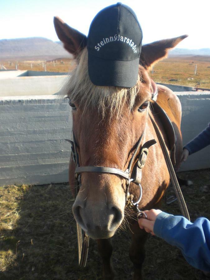 Steinnyjarstathir Skagastrond Dış mekan fotoğraf